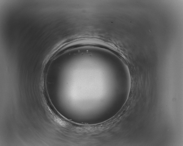 X0000073850005200608171045