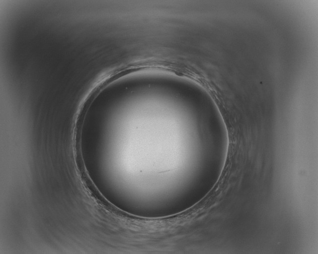 X0000073850006200608171045