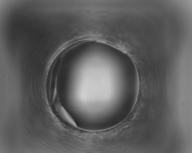 X0000073850007200608171045