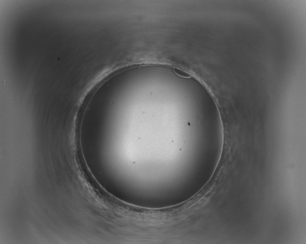 X0000073850008200608171045