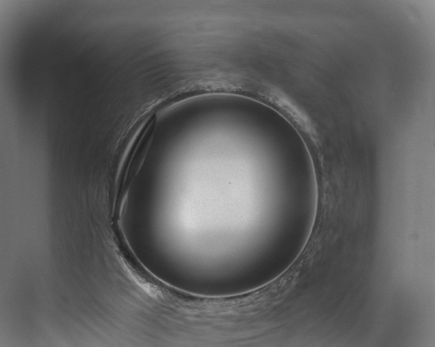 X0000073850009200608171045