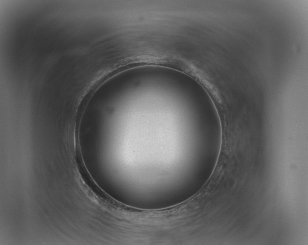 X0000073850011200608171044