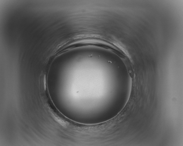 X0000073850013200608171044