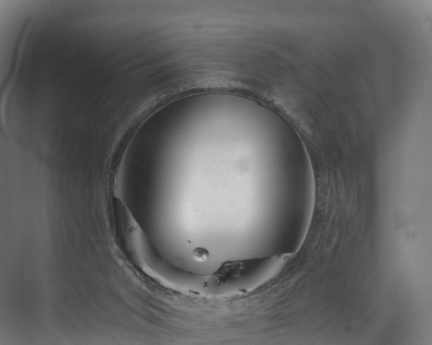 X0000073850015200608171044