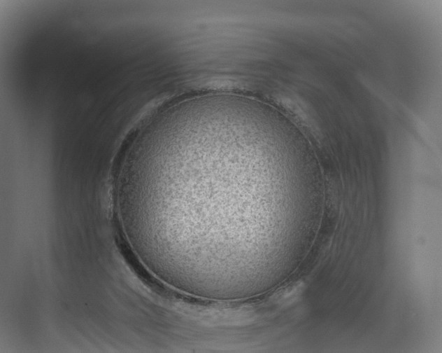 X0000073850016200608171044