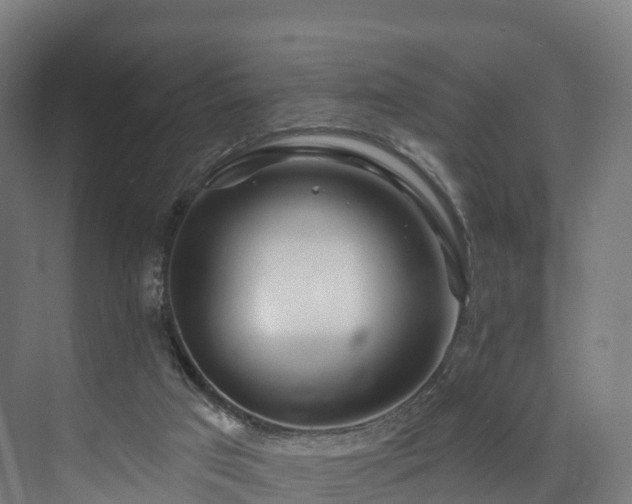 X0000073850017200608171044