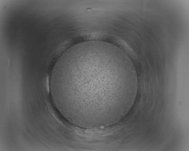 X0000073850022200608171044