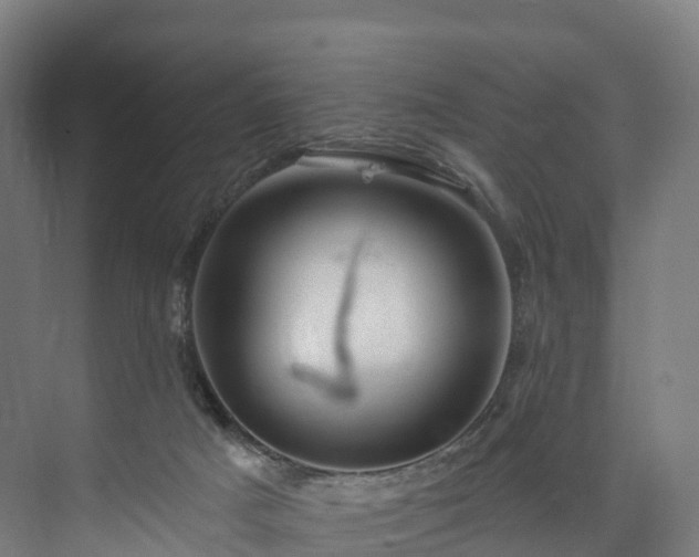 X0000073850025200608171044