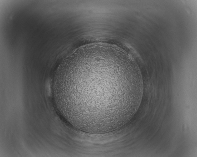 X0000073850026200608171044