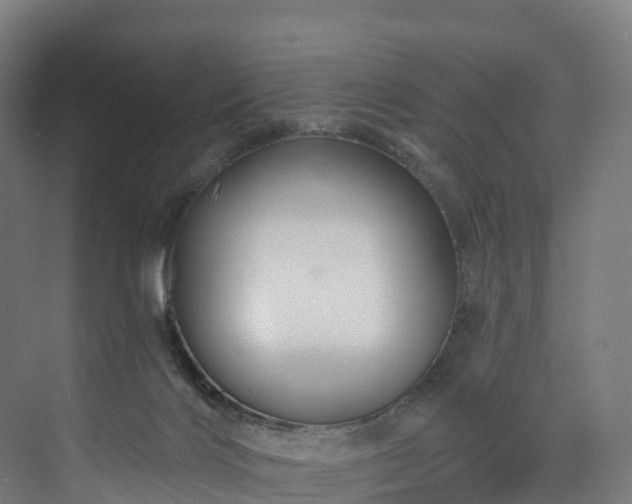 X0000073850028200608171044