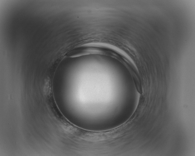 X0000073850029200608171044