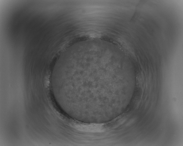 X0000073850032200608171044