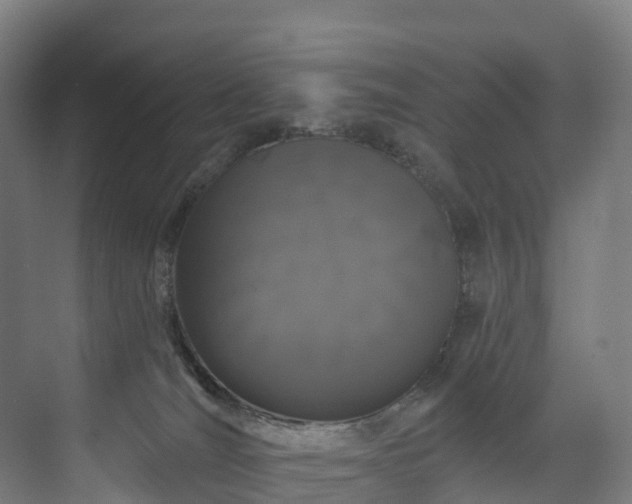 X0000073850036200608171044