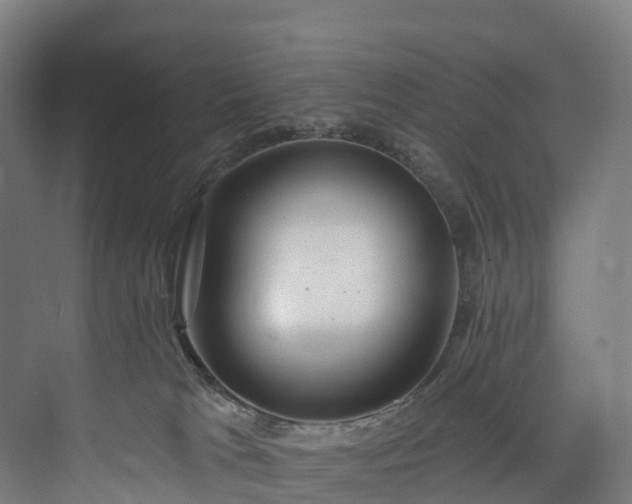 X0000073850037200608171044