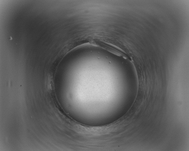 X0000073850038200608171044