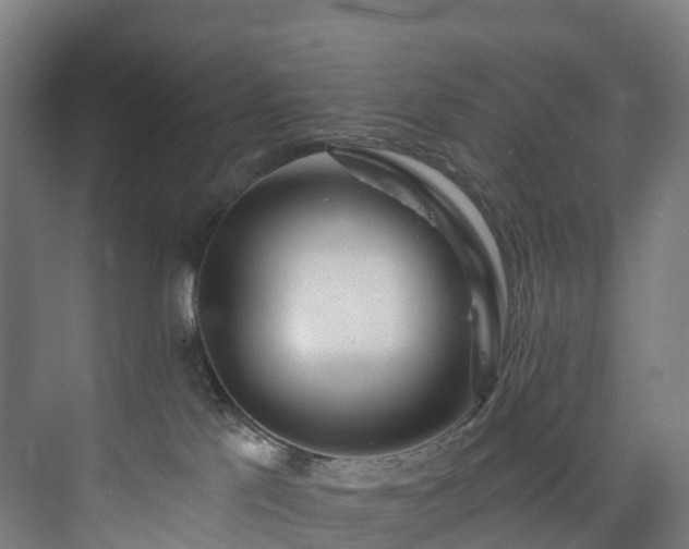 X0000073850041200608171044