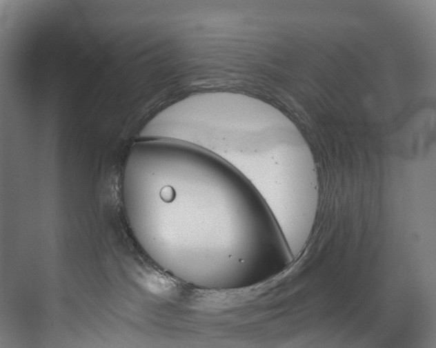 X0000073850045200608171044