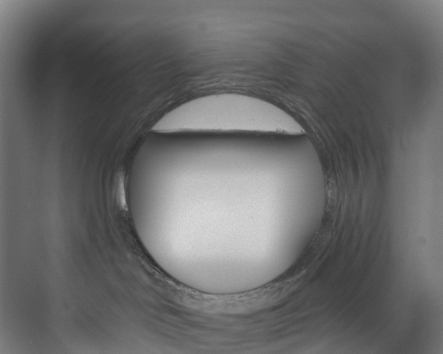 X0000073850046200608171044