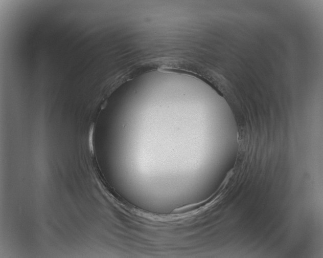 X0000073850047200608171044