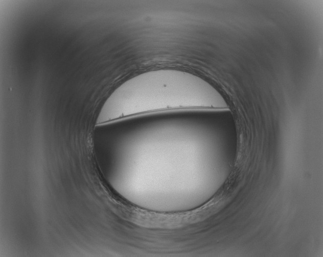 X0000073850048200608171044