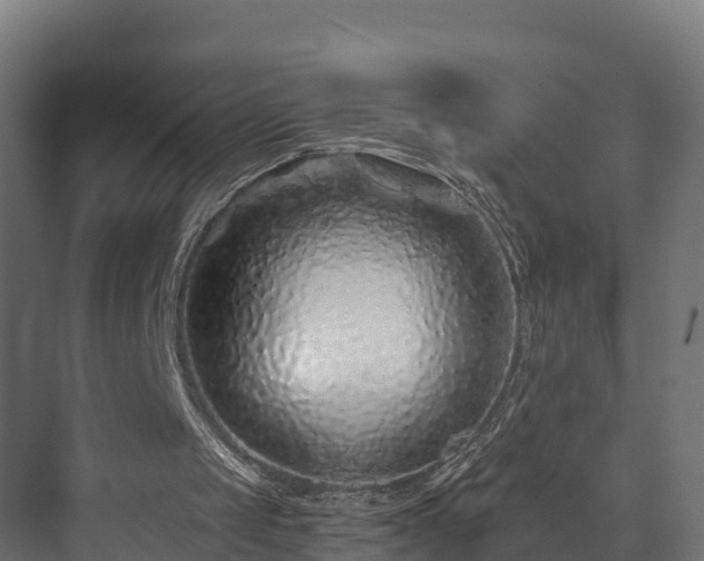 X0000073850049200608171043