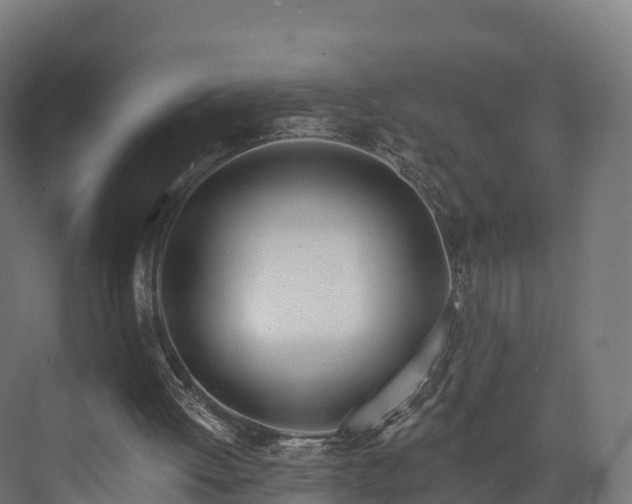 X0000073850052200608171043