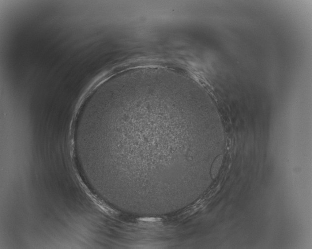 X0000073850053200608171043