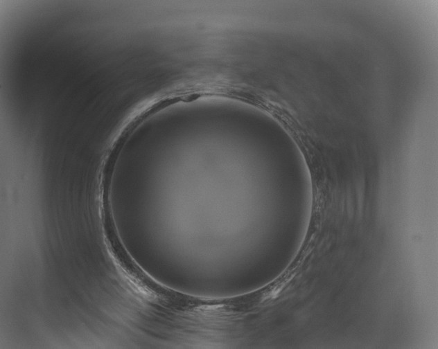 X0000073850054200608171043