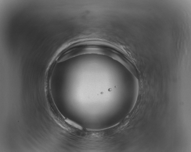 X0000073850056200608171043