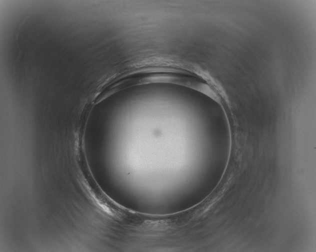 X0000073850057200608171043