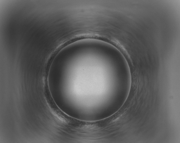 X0000073850063200608171043