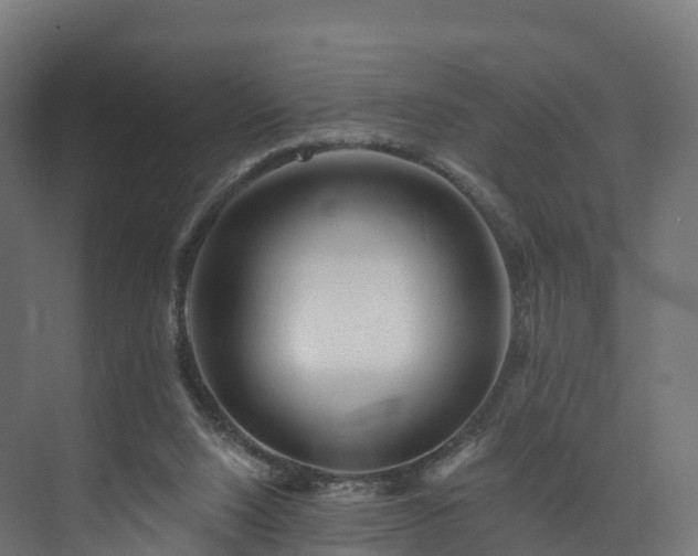 X0000073850064200608171043