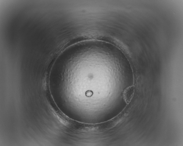 X0000073850065200608171043