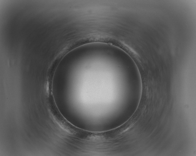 X0000073850067200608171043