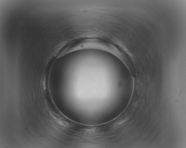 X0000073850068200608171043