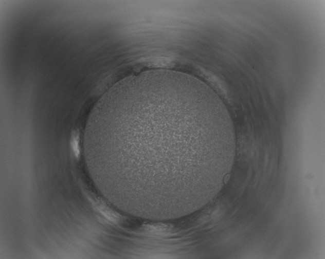 X0000073850069200608171043