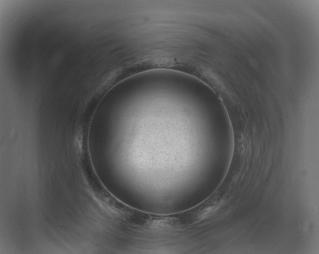 X0000073850072200608171043