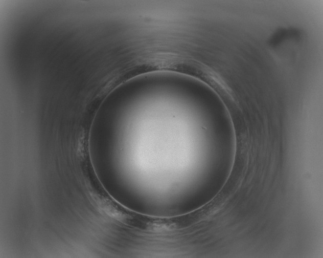 X0000073850073200608171043