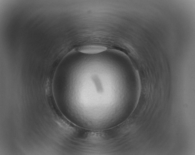 X0000073850077200608171044