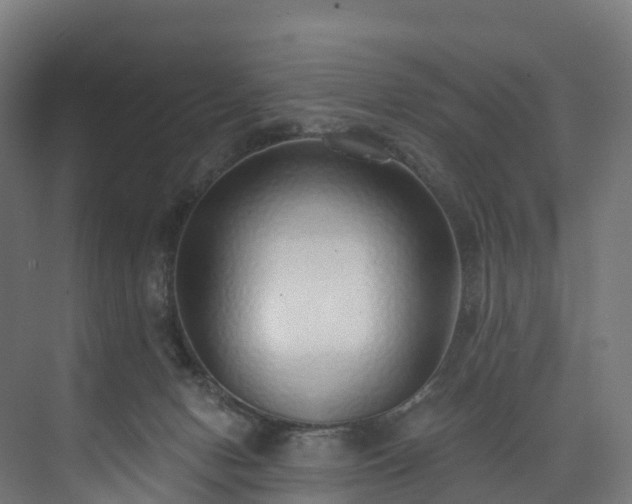 X0000073850078200608171044