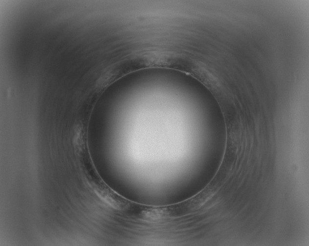 X0000073850079200608171044