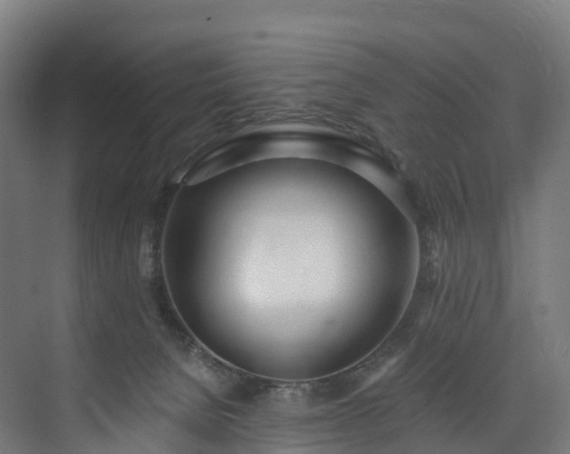 X0000073850080200608171044