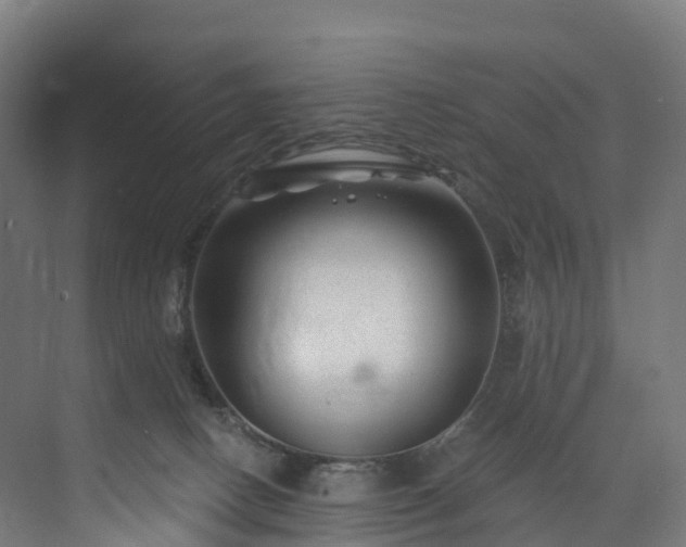 X0000073850082200608171044