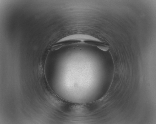 X0000073850086200608171044