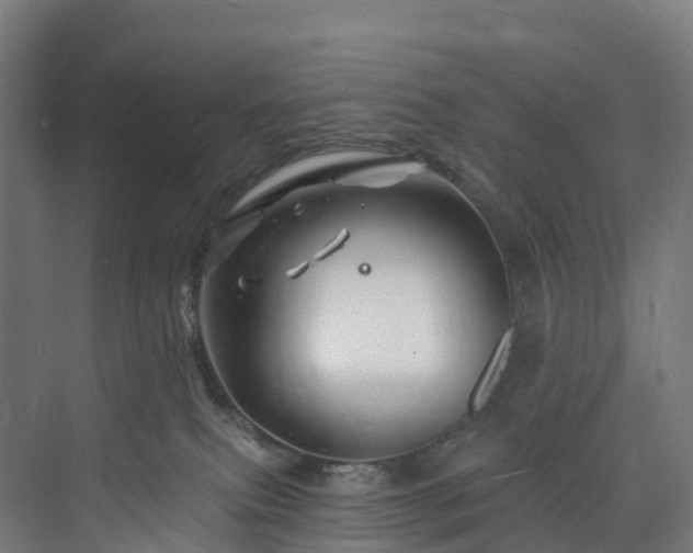 X0000073850087200608171044