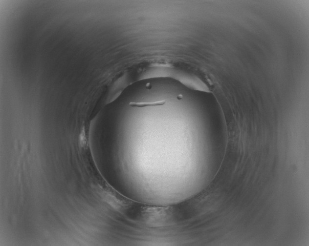 X0000073850089200608171044