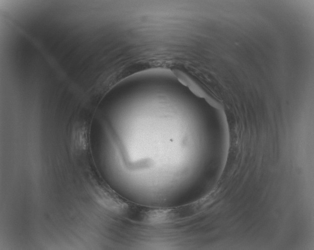 X0000073850090200608171044