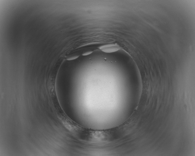 X0000073850091200608171044