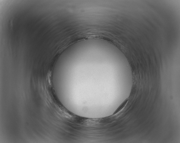 X0000073850094200608171044