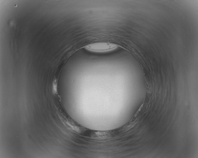 X0000073850095200608171044